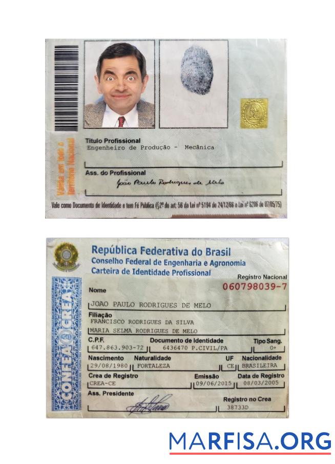 Downloadable Brazil Professional Identity Card template